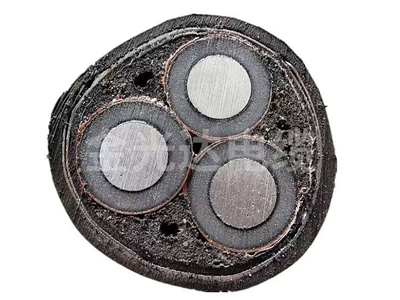 鋁芯高壓電纜 (1)