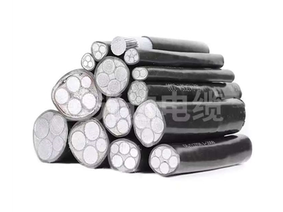 鋁芯低壓電纜 (9)