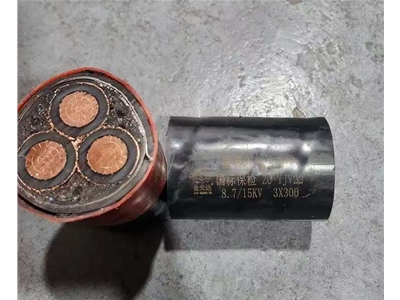 金光達(dá)電纜YJV22-3X300