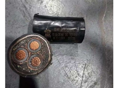 金光達電纜YJV22-3X120