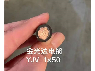 金光達電纜YJV-1X50